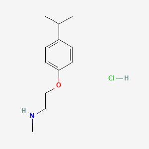 molecular formula C12H20ClNO B1379783 [2-(4-异丙基苯氧基)乙基]甲胺盐酸盐 CAS No. 1609401-07-1