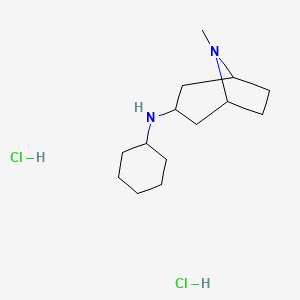 molecular formula C14H28Cl2N2 B1379790 N-Cyclohexyl-8-methyl-8-azabicyclo[3.2.1]octan-3-amine dihydrochloride CAS No. 1609396-68-0