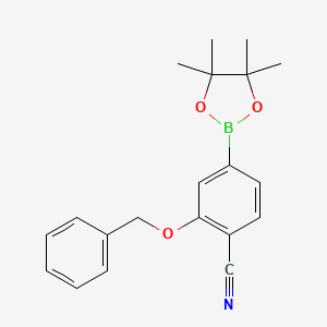 molecular formula C20H22BNO3 B1379903 2-(Benzyloxy)-4-(tetramethyl-1,3,2-dioxaborolan-2-yl)benzonitrile CAS No. 1448894-65-2