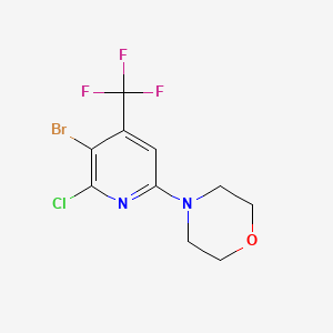 4-[5-Bromo-6-chloro-4-(trifluoromethyl)pyridin-2-yl]morpholine