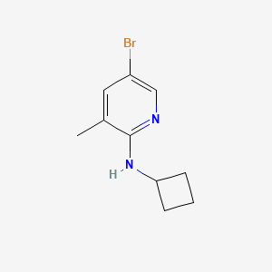 molecular formula C10H13BrN2 B1380207 5-bromo-N-cyclobutyl-3-methylpyridin-2-amine CAS No. 1289040-78-3