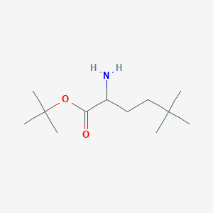 molecular formula C12H25NO2 B1380724 Tert-butyl 2-amino-5,5-dimethylhexanoate CAS No. 1543649-61-1
