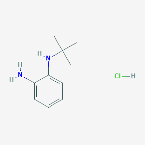 molecular formula C10H17ClN2 B1381073 N1-tert-butylbenzene-1,2-diamine hydrochloride CAS No. 1803562-38-0