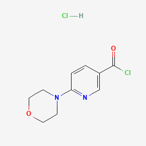 molecular formula C10H12Cl2N2O2 B1381082 6-吗啉基吡啶-3-羰基氯化氢 CAS No. 1396762-09-6