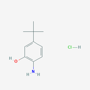 molecular formula C10H16ClNO B1381091 2-氨基-5-叔丁基苯酚盐酸盐 CAS No. 335013-48-4