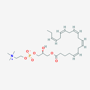 molecular formula C28H48NO7P B138119 LysoPC(20:5(5Z,8Z,11Z,14Z,17Z)) CAS No. 162440-04-2