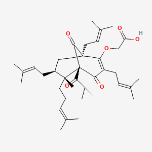 molecular formula C37H54O6 B1381203 阿利斯托福林 CAS No. 849215-53-8