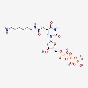 B1381316 alpha-(6-Aminohexylcarbamoyl)thymidine 5'-triphosphoric acid CAS No. 402789-71-3