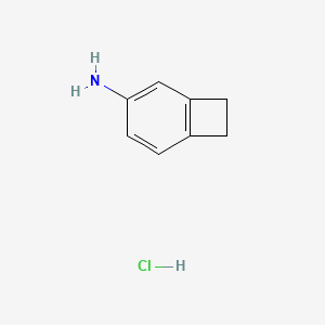 molecular formula C8H10ClN B1381351 Bicyclo[4.2.0]octa-1,3,5-trien-3-amine hydrochloride CAS No. 1810070-03-1