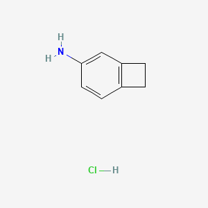 molecular formula C8H10ClN B1381351 ビシクロ[4.2.0]オクタ-1,3,5-トリエン-3-アミン塩酸塩 CAS No. 1810070-03-1