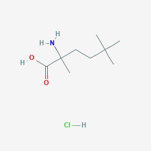 molecular formula C9H20ClNO2 B1381433 2-氨基-2,5,5-三甲基己酸盐酸盐 CAS No. 1803596-37-3