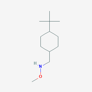 molecular formula C12H25NO B1381444 [(4-Tert-butylcyclohexyl)methyl](methoxy)amine CAS No. 1565625-45-7