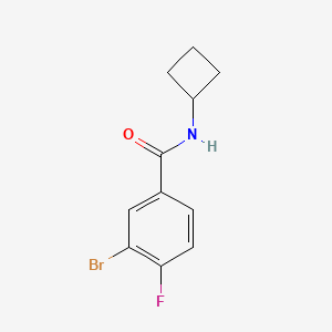 molecular formula C11H11BrFNO B1381564 3-溴-N-环丁基-4-氟苯甲酰胺 CAS No. 1870439-13-6