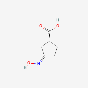 (1R,3Z)-3-hydroxyiminocyclopentane-1-carboxylic acid