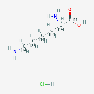 L-Lysine-UL-14C