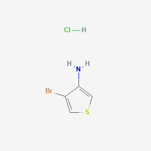 molecular formula C4H5BrClNS B1381833 4-溴噻吩-3-胺盐酸盐 CAS No. 1864015-49-5