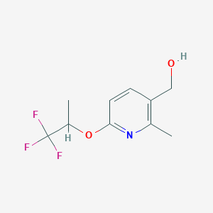 molecular formula C10H12F3NO2 B1381916 (2-甲基-6-((1,1,1-三氟丙基)氧基)吡啶-3-基)甲醇 CAS No. 1553934-13-6
