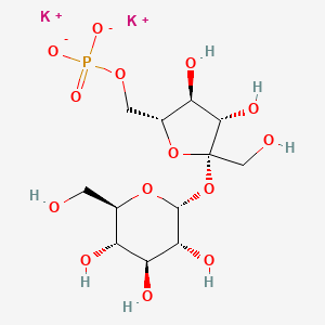 molecular formula C12H21K2O14P B13819938 Sucrose-6'-monophosphate 