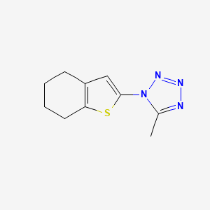 molecular formula C10H12N4S B13821319 5-Methyl-1-(4,5,6,7-tetrahydro-benzo[b]thiophen-2-yl)-1H-tetrazole 