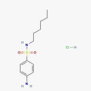 molecular formula C12H21ClN2O2S B1382173 4-amino-N-hexylbenzenesulfonamide hydrochloride CAS No. 1986331-04-7