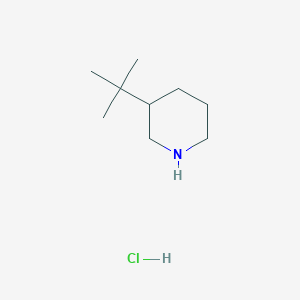 molecular formula C9H20ClN B1382190 3-Tert-butylpiperidine hydrochloride CAS No. 1795469-50-9