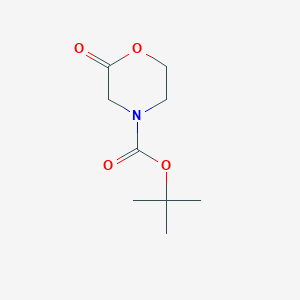 molecular formula C9H15NO4 B1382307 叔丁基2-氧代吗啉-4-羧酸酯 CAS No. 1140502-97-1