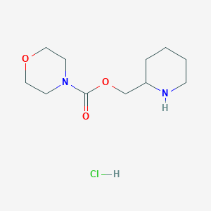molecular formula C11H21ClN2O3 B1382325 Piperidin-2-ylmethyl morpholine-4-carboxylate hydrochloride CAS No. 1803598-62-0