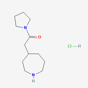 molecular formula C12H23ClN2O B1382366 2-(Azepan-4-yl)-1-(pyrrolidin-1-yl)ethan-1-one hydrochloride CAS No. 1803596-25-9