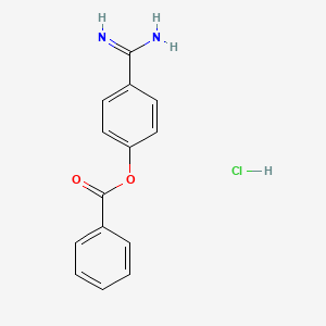 molecular formula C14H13ClN2O2 B13823970 4-Amidinophenylbenzoate hydrochloride CAS No. 38148-69-5