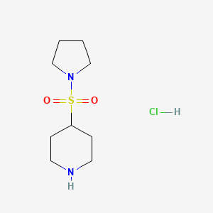 molecular formula C9H19ClN2O2S B1382412 4-(Pyrrolidine-1-sulfonyl)piperidine hydrochloride CAS No. 1803586-20-0