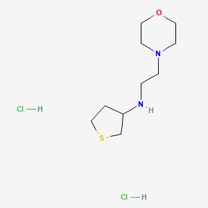 molecular formula C10H22Cl2N2OS B1382511 N-[2-(morpholin-4-yl)ethyl]thiolan-3-amine dihydrochloride CAS No. 1803609-04-2