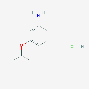 molecular formula C10H16ClNO B1382569 3-(丁烷-2-氧基)苯胺盐酸盐 CAS No. 1803590-91-1