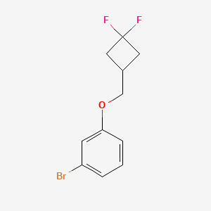molecular formula C11H11BrF2O B1382713 1-溴-3-[(3,3-二氟环丁基)甲氧基]苯 CAS No. 1855584-82-5