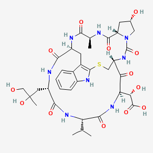 molecular formula C37H50N8O13S B13827281 Phallacidin from Amanita phalloides 