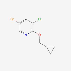 molecular formula C9H9BrClNO B1382757 5-溴-3-氯-2-(环丙基甲氧基)吡啶 CAS No. 1431532-94-3