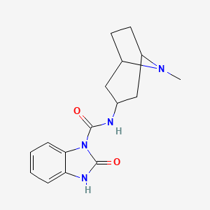 N-(8-methyl-8-azabicyclo[3.2.1]octan-3-yl)-2-oxo-3H-benzimidazole-1-carboxamide