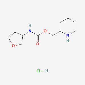 molecular formula C11H21ClN2O3 B1382812 piperidin-2-ylmethyl N-(oxolan-3-yl)carbamate hydrochloride CAS No. 1803612-17-0