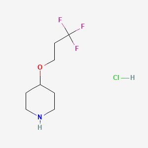 molecular formula C8H15ClF3NO B1382904 4-(3,3,3-三氟丙氧基)哌啶盐酸盐 CAS No. 1795439-19-8