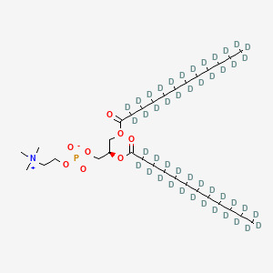 molecular formula C32H64NO8P B13829372 L-alpha-Dilauroyl Phosphatidylcholine-d46 