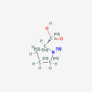 molecular formula C5H9NO2 B13829888 D-Proline-13C5,15N 