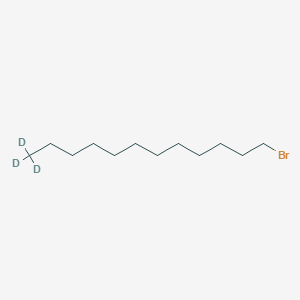 molecular formula C12H25B B1383035 1-溴十二烷-12,12,12-d3 CAS No. 204259-68-7