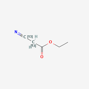 molecular formula C5H7NO2 B13830442 Ethyl Cyanoacetate-2,3-13C2 