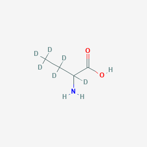 molecular formula C4H9NO2 B1383057 d6-2-氨基丁酸 CAS No. 350820-17-6