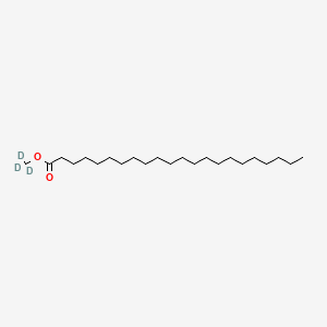 molecular formula C23H46O2 B13831269 Docosanoic Acid Methyl-d3 Ester 