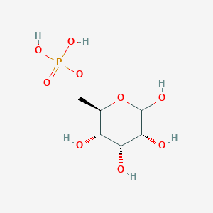 molecular formula C6H13O9P B13831446 D-Allopyranose 6-phosphate 