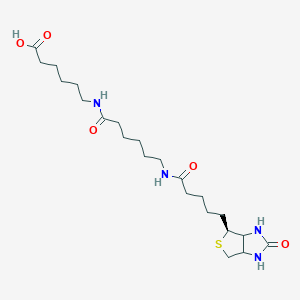 molecular formula C22H38N4O5S B13831574 6-[6-[5-[(4S)-2-oxo-1,3,3a,4,6,6a-hexahydrothieno[3,4-d]imidazol-4-yl]pentanoylamino]hexanoylamino]hexanoic acid 