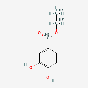 molecular formula C9H10O4 B13831865 Ethyl 3,4-Dihydroxybenzoate-13C3 