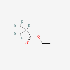 molecular formula C6H10O2 B13831902 Ethyl Cyclopropylcarboxylate-d5 (Major) 