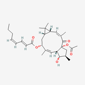 [(1R,3Z,5R,7S,9R,10Z,12S,13S,14R)-1-acetyloxy-13-hydroxy-3,6,6,10,14-pentamethyl-2-oxo-9-tricyclo[10.3.0.05,7]pentadeca-3,10-dienyl] (2E,4Z)-octa-2,4-dienoate