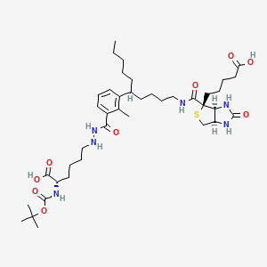 (2S)-6-[2-[3-[1-[[(3aS,4S,6aR)-4-(4-carboxybutyl)-2-oxo-3,3a,6,6a-tetrahydro-1H-thieno[3,4-d]imidazole-4-carbonyl]amino]decan-5-yl]-2-methylbenzoyl]hydrazinyl]-2-[(2-methylpropan-2-yl)oxycarbonylamino]hexanoic acid